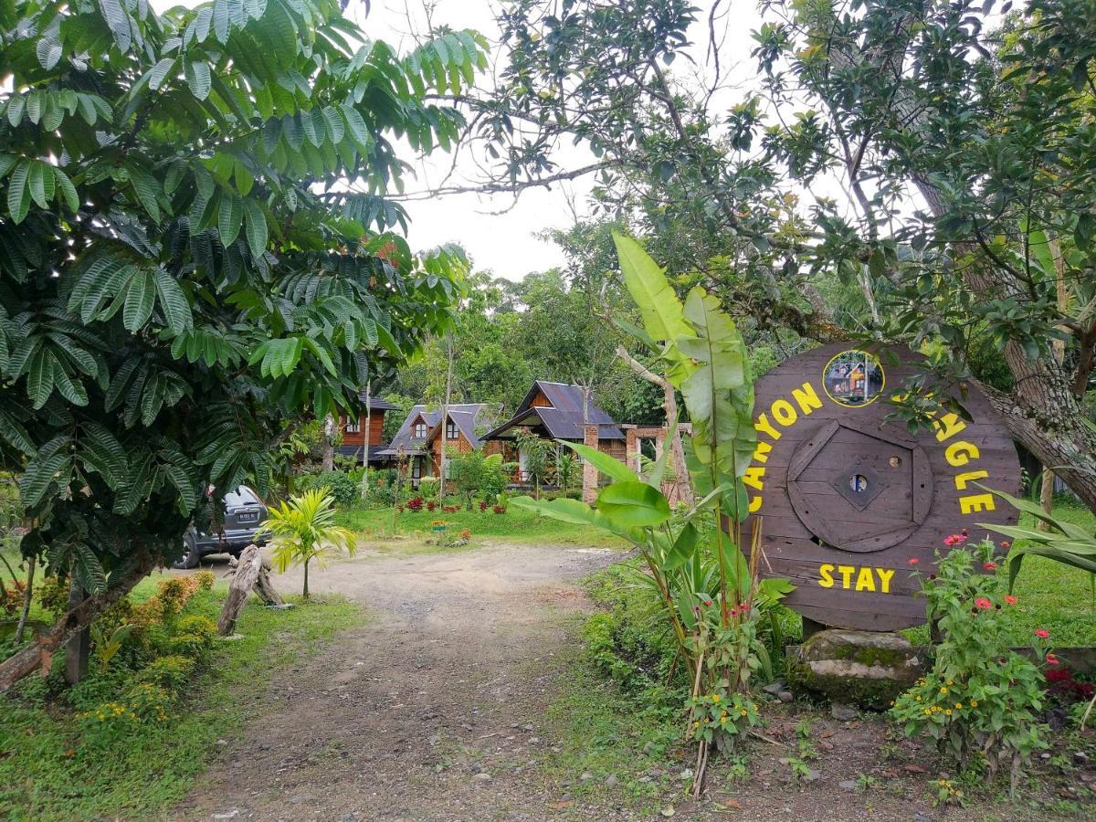 בוקיטינגי Canyon Jungle Stay מראה חיצוני תמונה
