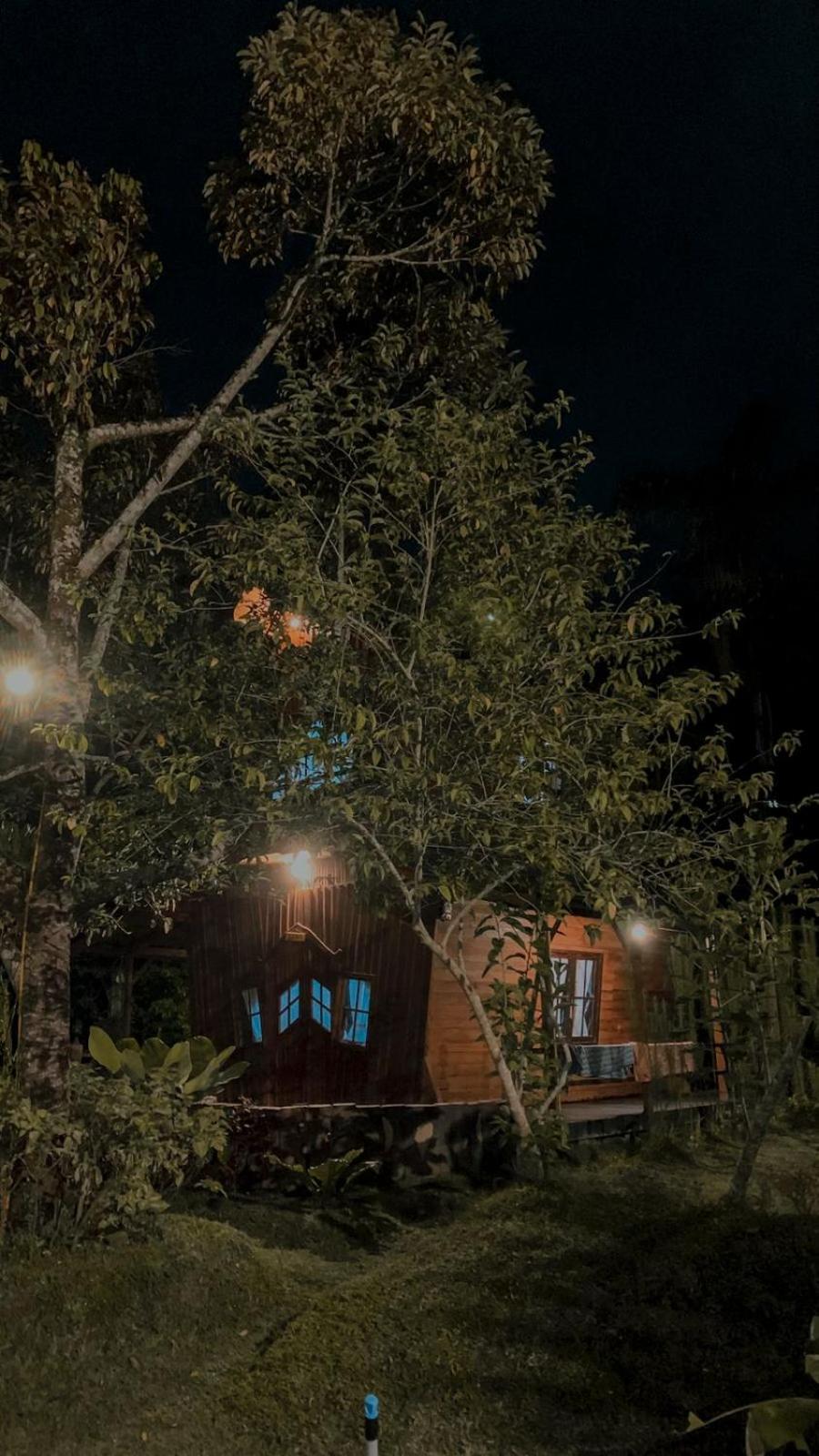 בוקיטינגי Canyon Jungle Stay חדר תמונה