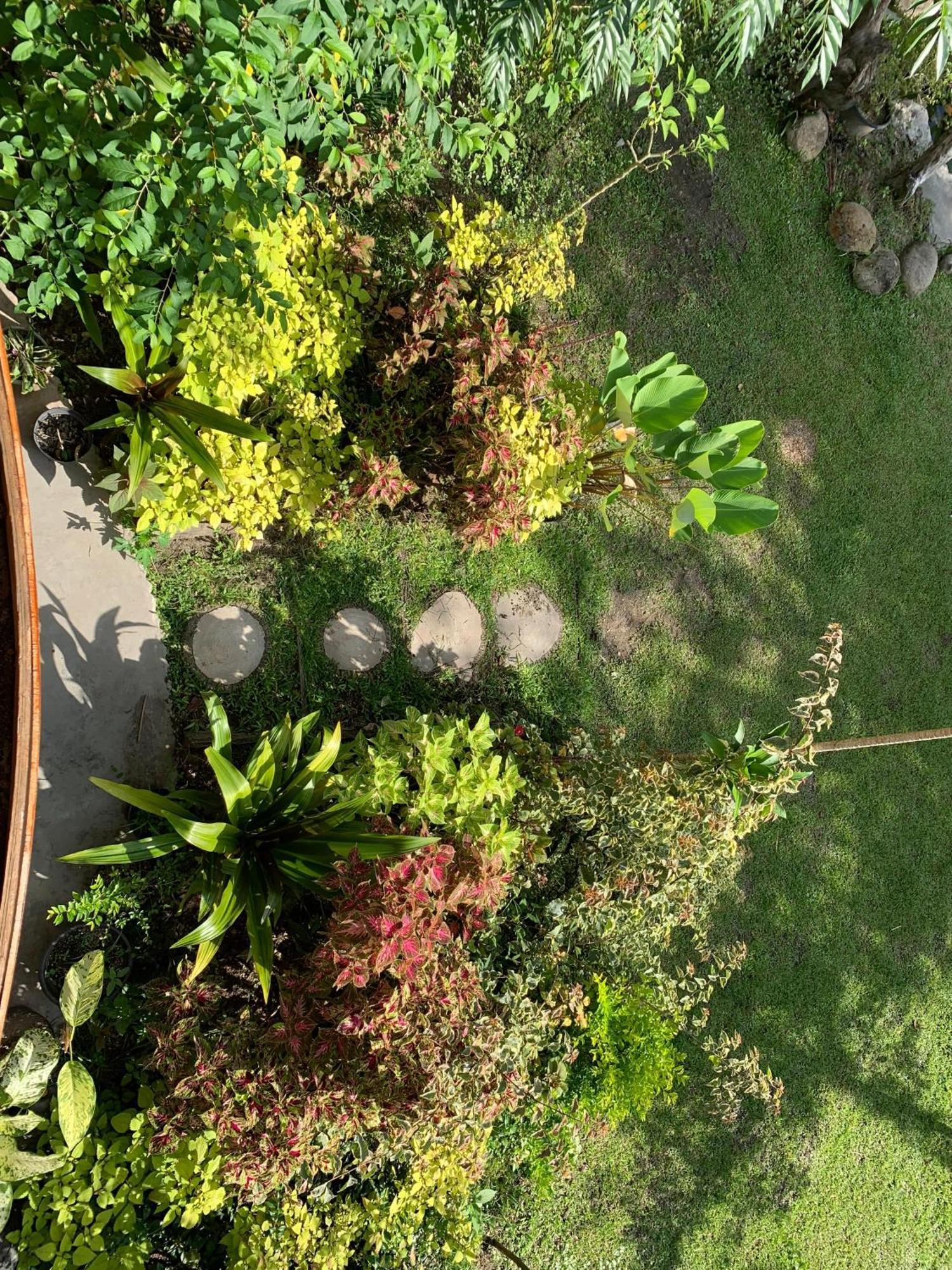 בוקיטינגי Canyon Jungle Stay מראה חיצוני תמונה